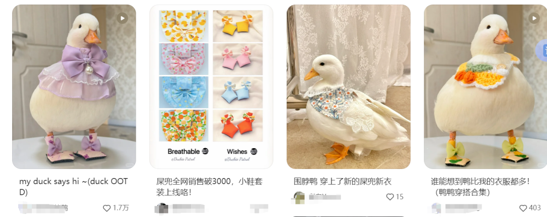 发2.png