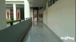 IMG_vkese9.gif