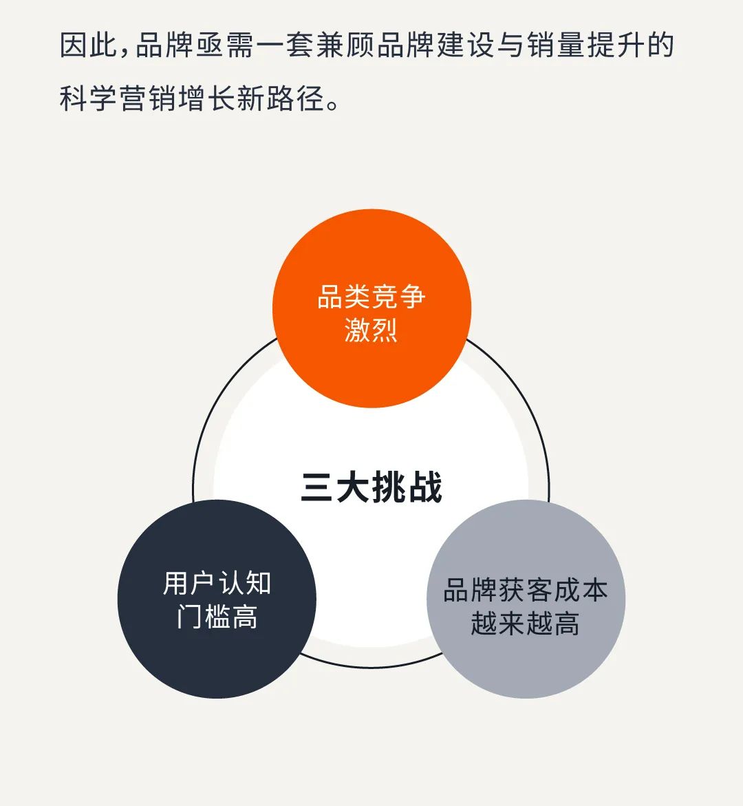 发4.jpg