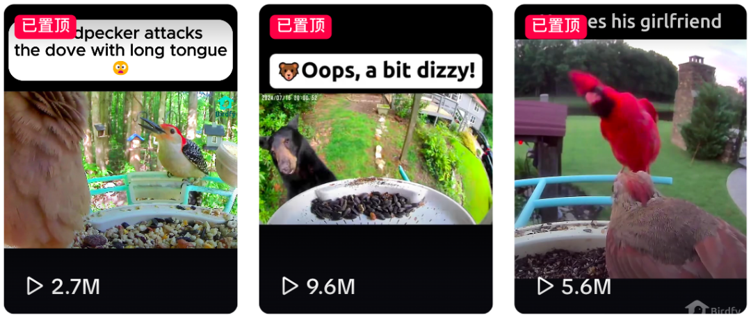 1761547944667183.png 是1.png