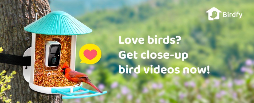 1761547965429236.png 是.png