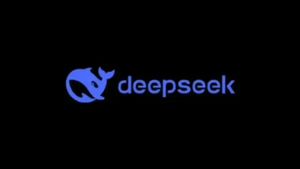 DeepSeek首轮融资落地！